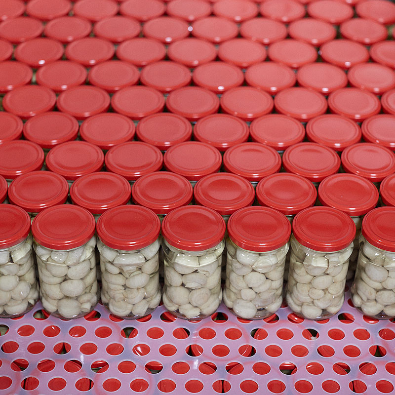 przetwórstwo pieczarek śląsk