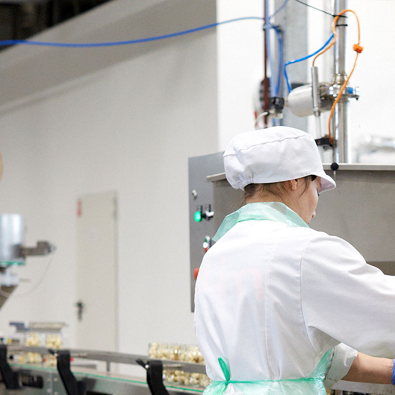 przetwórnia pieczarek